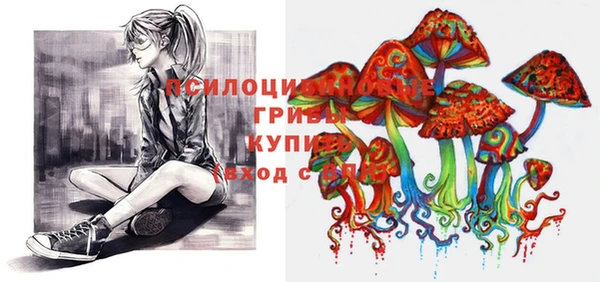 2c-b Армянск